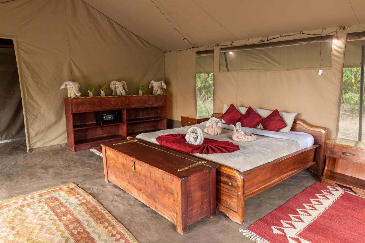 Hammerkop Migration Camp Acomodação com café da manhã Maasai Mara Exterior foto