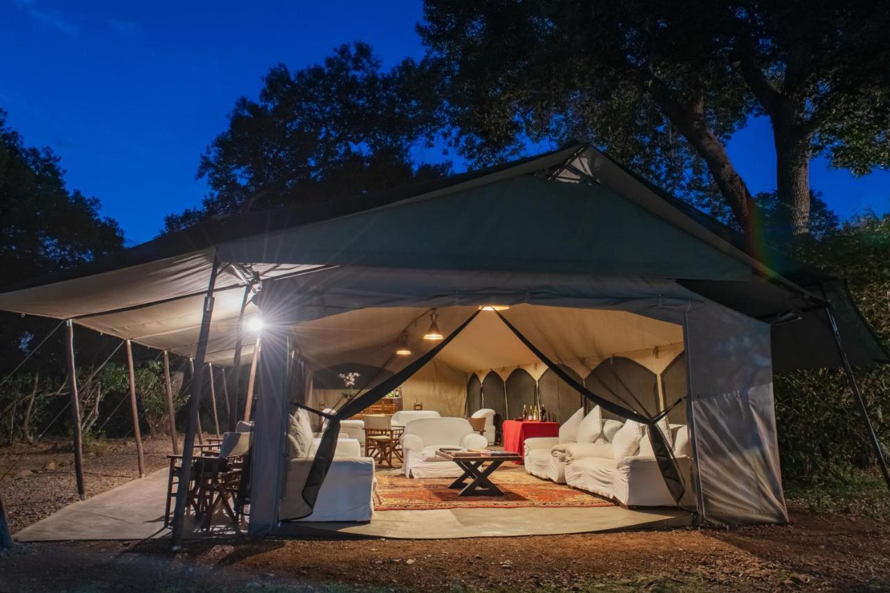 Hammerkop Migration Camp Acomodação com café da manhã Maasai Mara Exterior foto