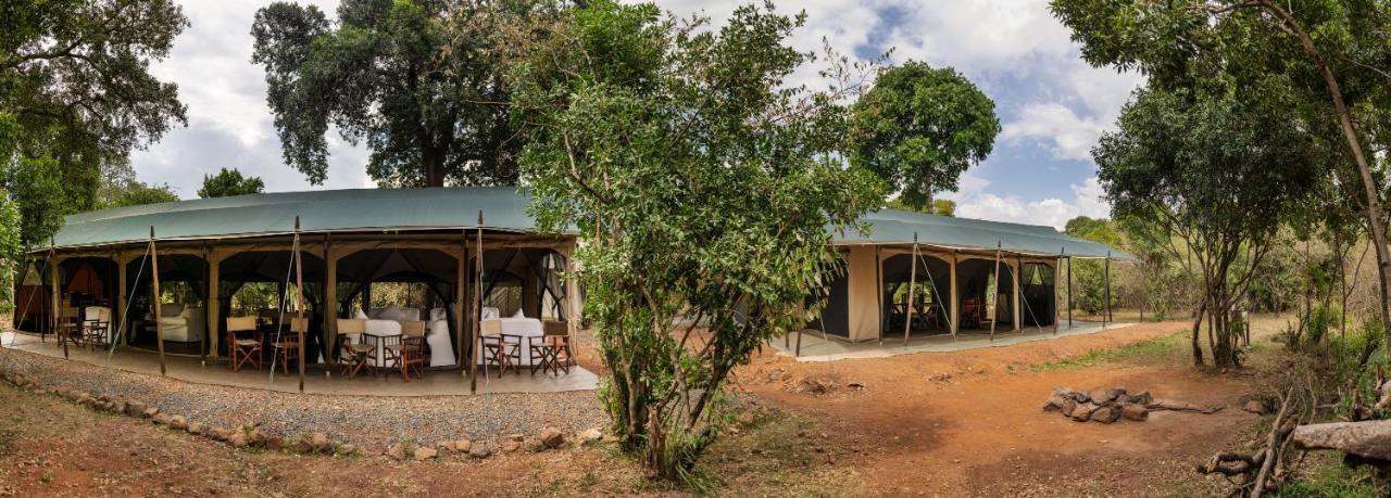 Hammerkop Migration Camp Acomodação com café da manhã Maasai Mara Exterior foto