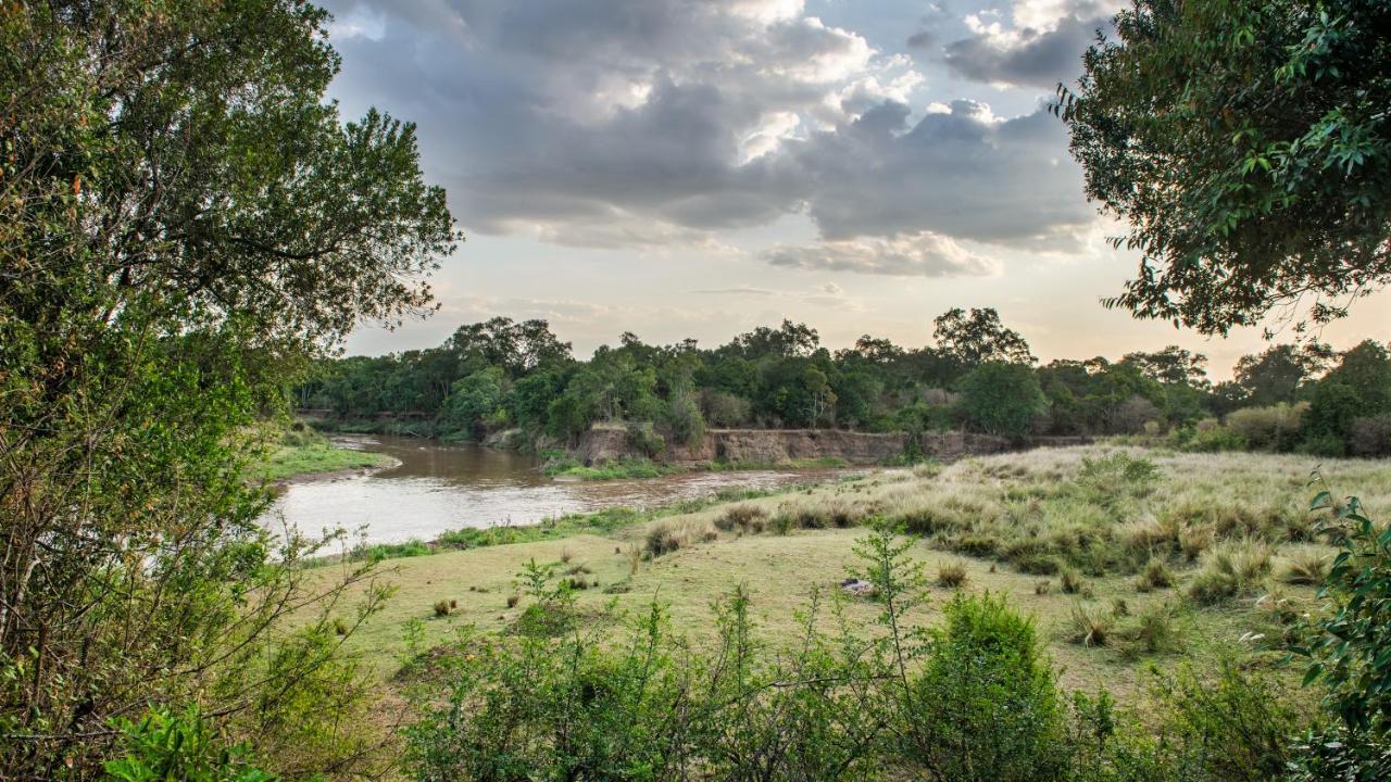 Hammerkop Migration Camp Acomodação com café da manhã Maasai Mara Exterior foto